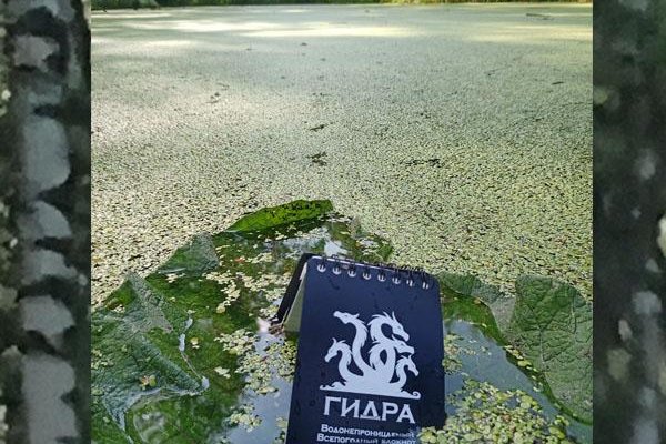Проверенная ссылка кракен