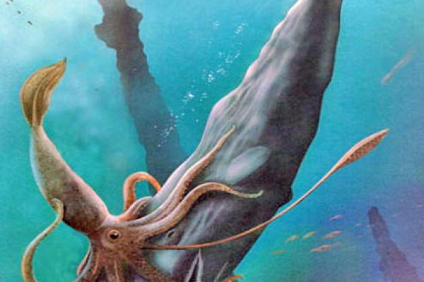 Kraken ссылка зеркало официальный