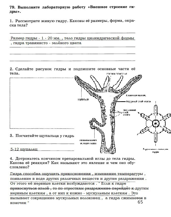 Регистрация на сайте кракен