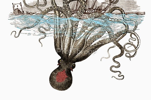 Кракен сайт krknwebs