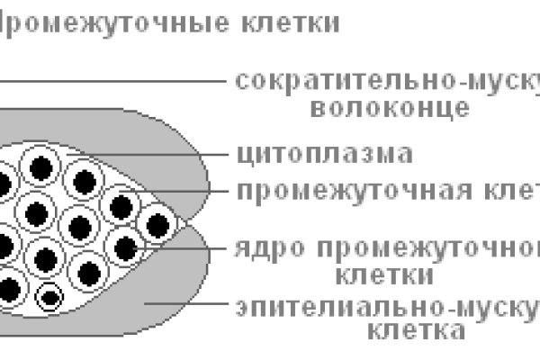 Kra36.at Вход на сайт главная страница