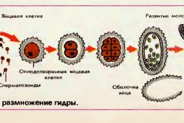 Dark net официальный сайт