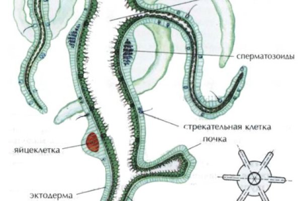 Кракен зеркало впн