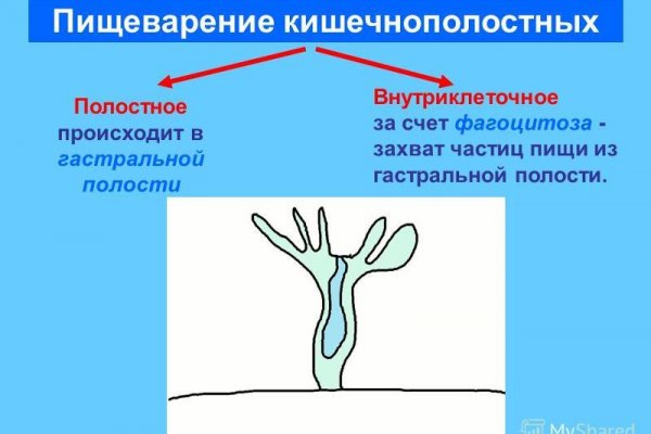 Kraken ссылки актуальные 2025 г