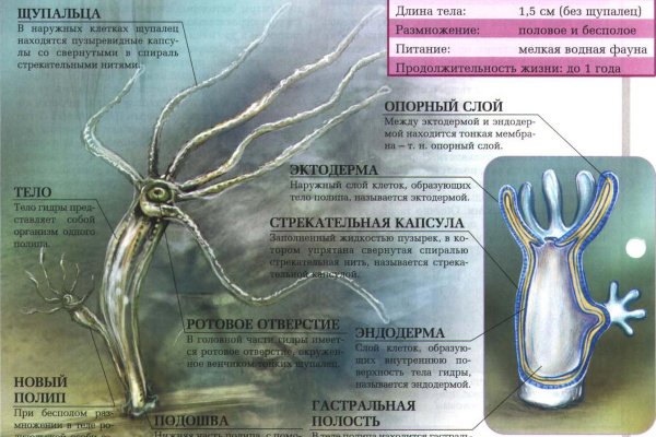 Кракен купить порошок