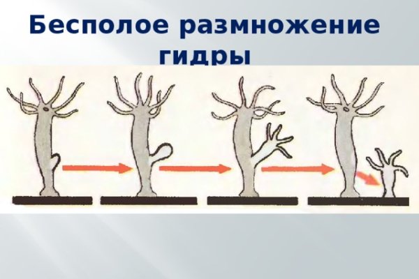 Kraken shop ссылка