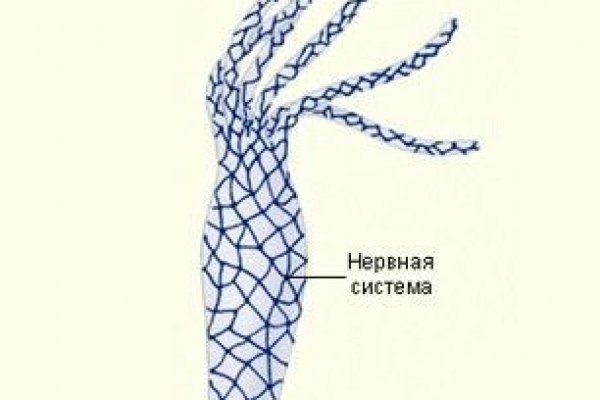 Kra43.cc Вход на сайт главная страница
