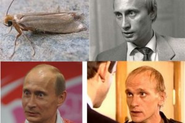 Вход на кракен зеркало