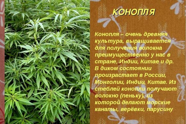 Кракен маркетплейс актуальные ссылки